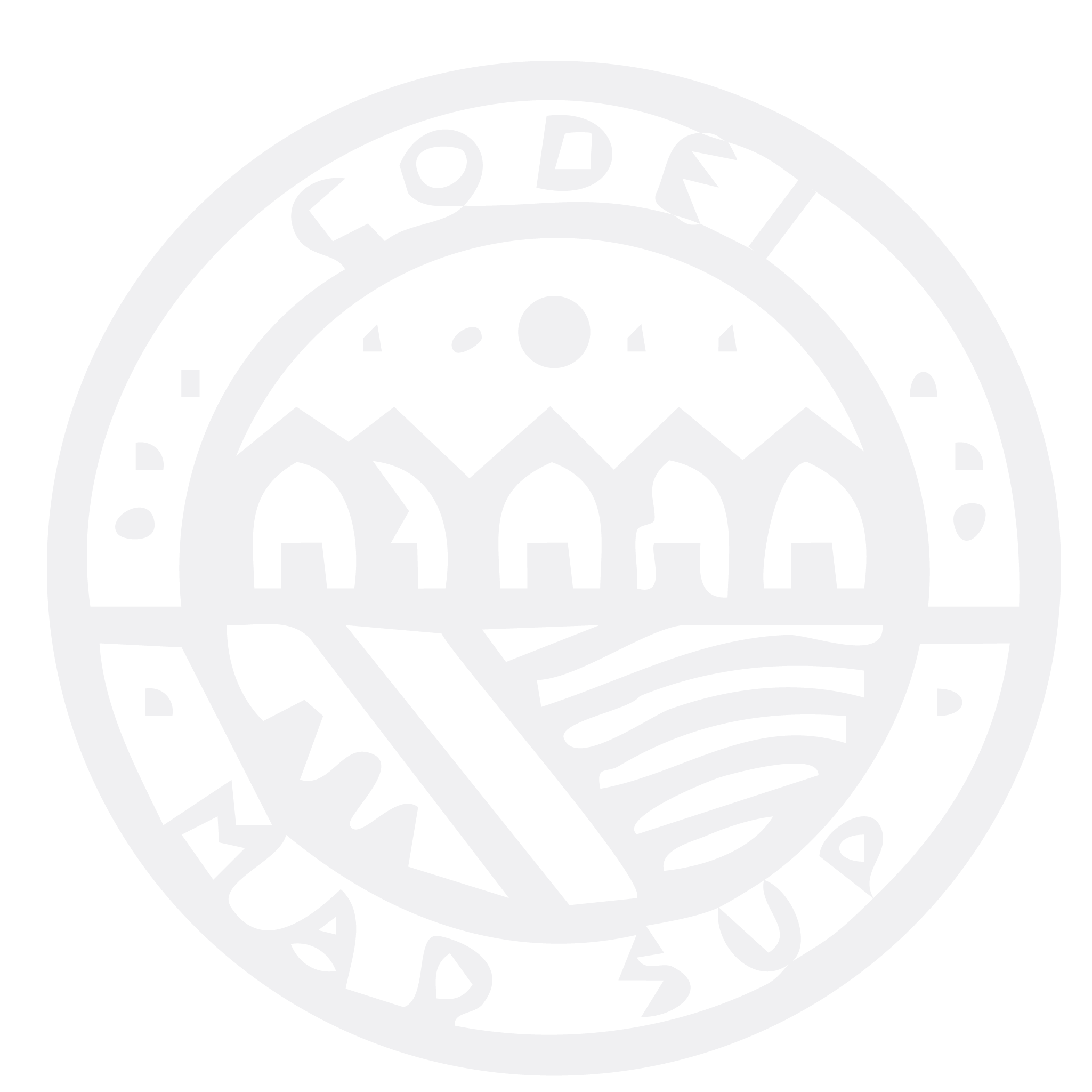 Codei logo blanc
